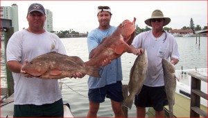 Inshore-700